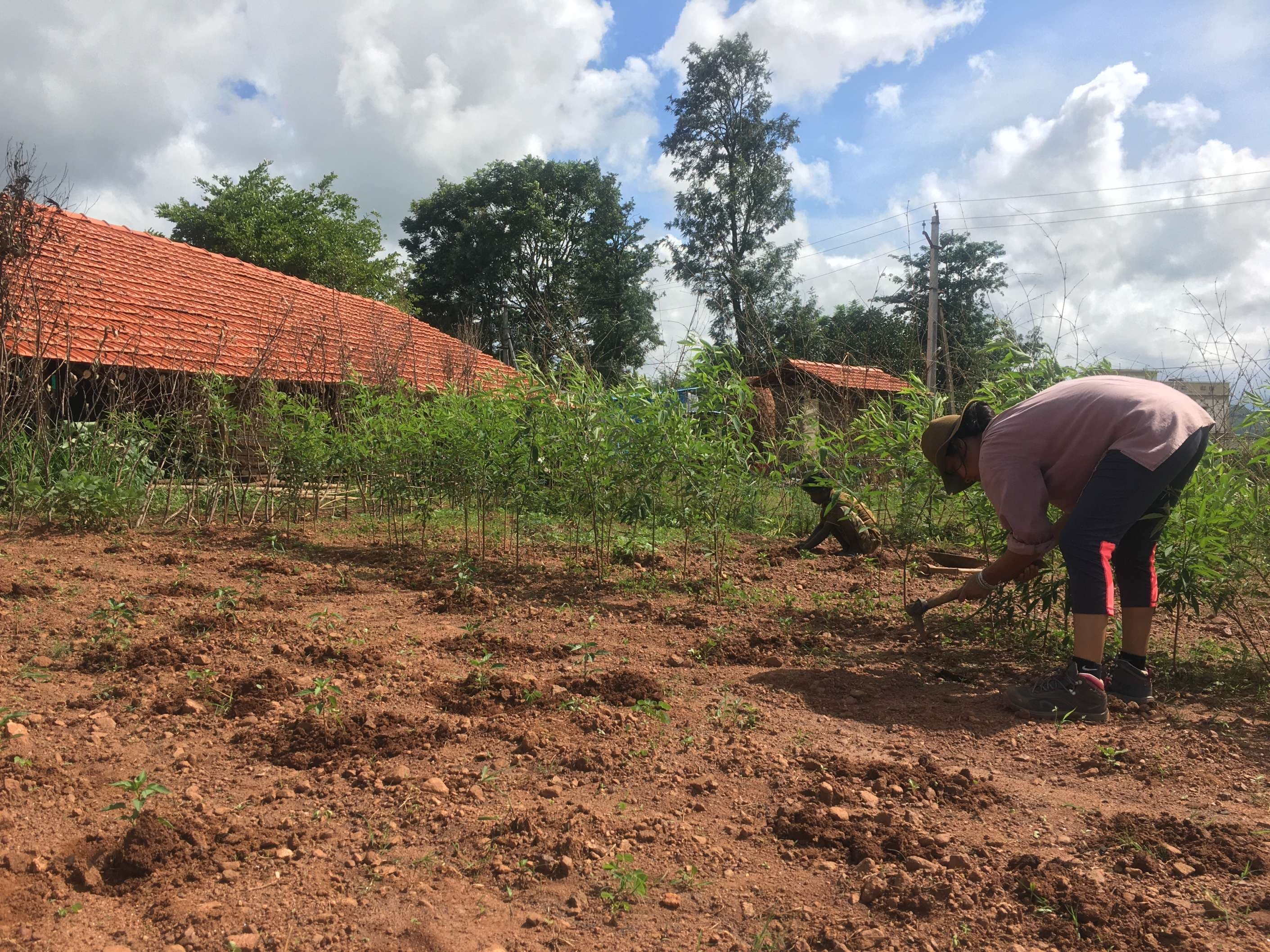 Farm activities